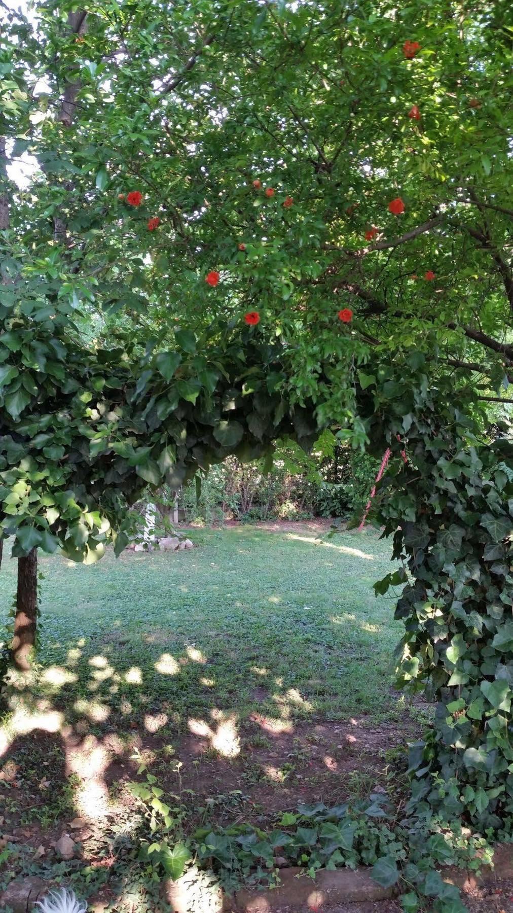 La Cascina Di Alice Bed & Breakfast Castiglione Delle Stiviere Exterior photo
